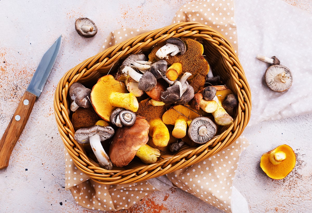 Basket of healthy mushrooms